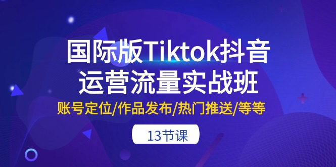 （10712期）国际版Tiktok抖音运营流量实战班：账号定位/作品发布/热门推送/等等-13节-生财有道