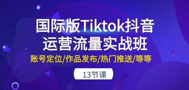 国际版Tiktok抖音运营流量实战班：账号定位/作品发布/热门推送/等等-13节-生财有道
