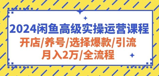 2024闲鱼高级实操运营课程：开店/养号/选择爆款/引流/月入2万/全流程-生财有道