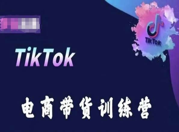 TikTok电商带货训练营，跟随时代潮流，跨境掘金-生财有道