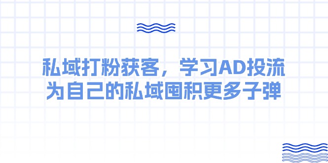 （10728期）某收费课：私域打粉获客，学习AD投流，为自己的私域囤积更多子弹-生财有道