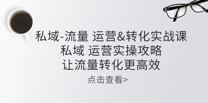 （10739期）私域-流量 运营&转化实操课：私域 运营实操攻略 让流量转化更高效-生财有道