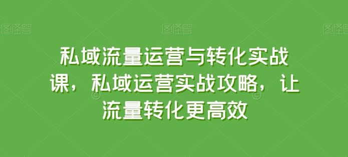 私域流量运营与转化实战课，私域运营实战攻略，让流量转化更高效-生财有道