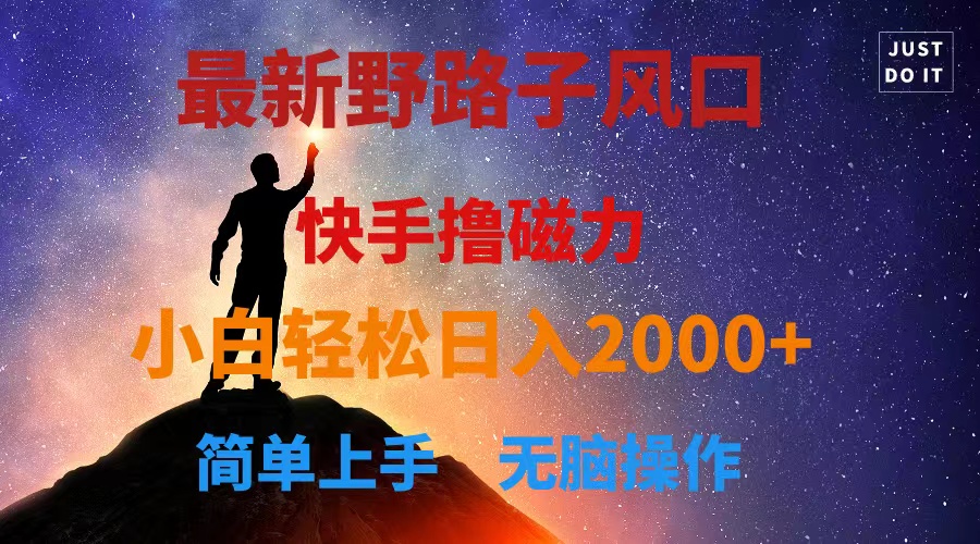 （10754期）最新风口！快手撸磁力，野路子，小白无脑操作日入2000+-生财有道