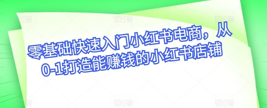 零基础快速入门小红书电商，从0-1打造能赚钱的小红书店铺-生财有道