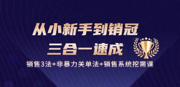 从小新手到销冠 三合一速成：销售3法+非暴力关单法+销售系统挖需课 (27节)-生财有道