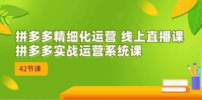 拼多多精细化运营 线上直播课：拼多多实战运营系统课（更新47节）-生财有道