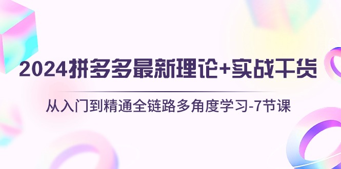 （10816期）2024拼多多 最新理论+实战干货，从入门到精通全链路多角度学习-7节课-生财有道
