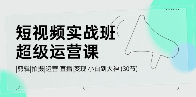 （10836期）短视频实战班-超级运营课，|剪辑|拍摄|运营|直播|变现 小白到大神 (30节)-生财有道