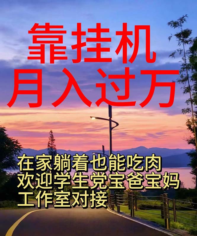 （10838期）靠挂机，日入1000+，躺着也能吃肉，适合宝爸宝妈学生党工作室，电脑手…-生财有道