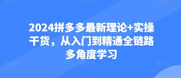 2024拼多多最新理论+实操干货，从入门到精通全链路多角度学习-生财有道