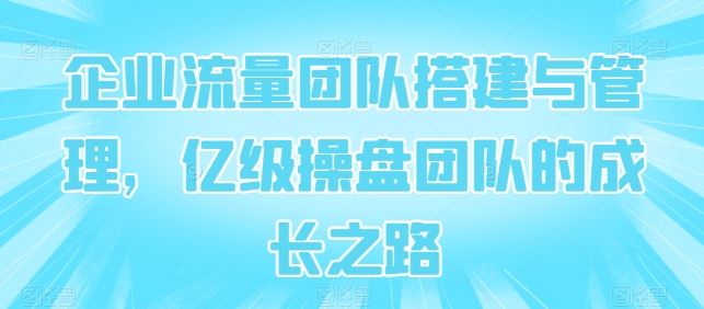 企业流量团队搭建与管理，亿级操盘团队的成长之路-生财有道