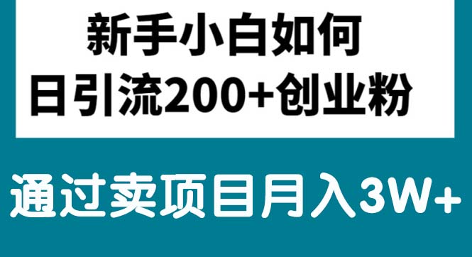 （10843期）新手小白日引流200+创业粉,通过卖项目月入3W+-生财有道