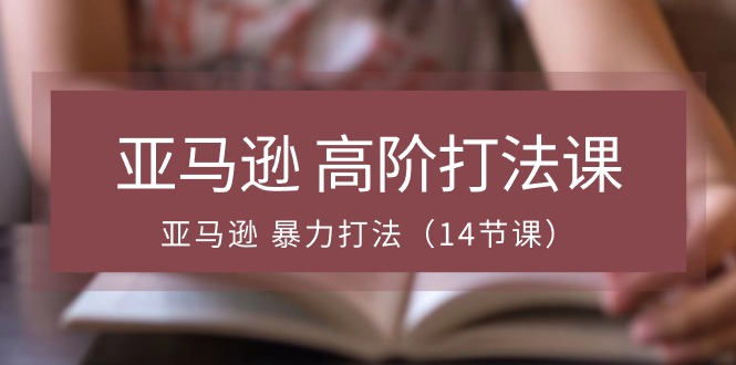 （10870期）亚马逊 高阶打法课，亚马逊 暴力打法（14节课）-生财有道