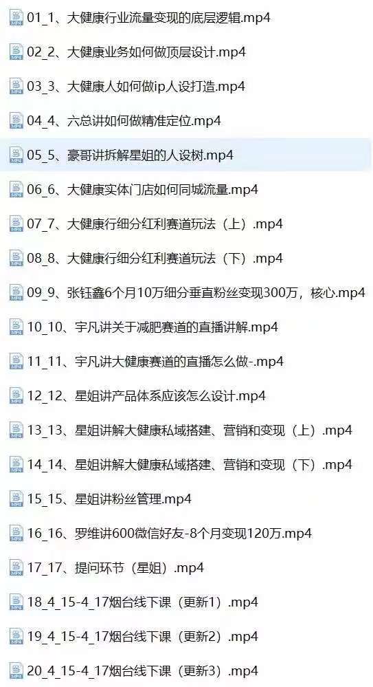 （10871期）大健康 流量 变现2.0：拓高变现 流量/成高客单/低粉高变现/只讲落地实战-生财有道