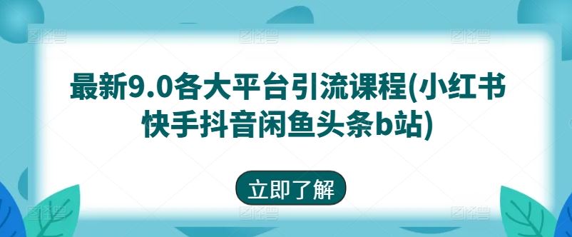 最新9.0各大平台引流课程(小红书快手抖音闲鱼头条b站)-生财有道