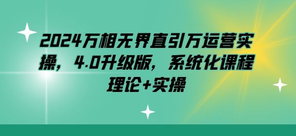 2024万相无界直引万运营实操，4.0升级版，系统化课程 理论+实操-生财有道
