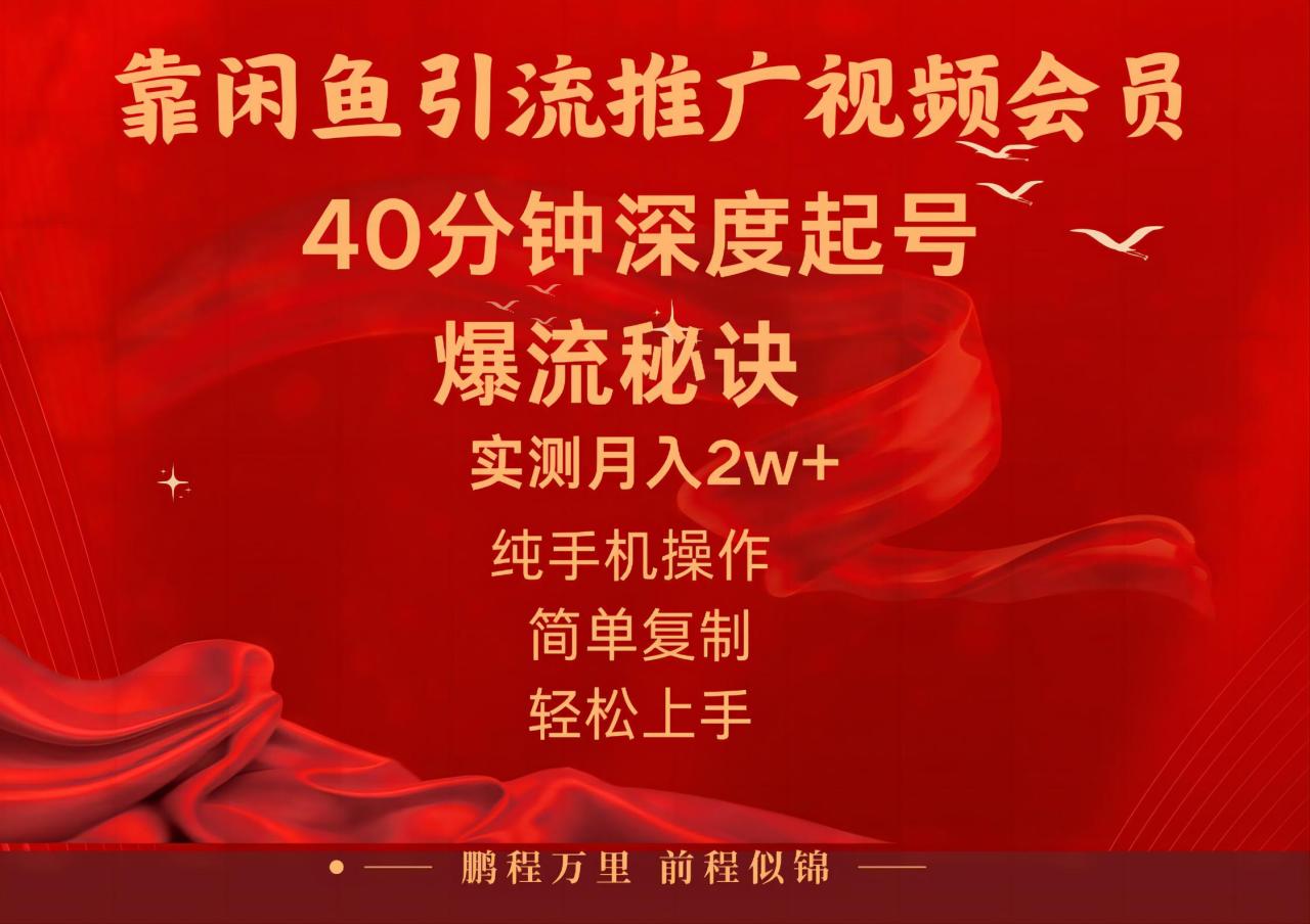 （10895期）闲鱼暴力引流推广视频会员，能做到日入2W+，操作简单-生财有道