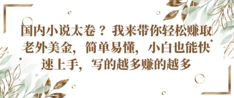 国内小说太卷 ?带你轻松赚取老外美金，简单易懂，小白也能快速上手，写的越多赚的越多【揭秘】-生财有道