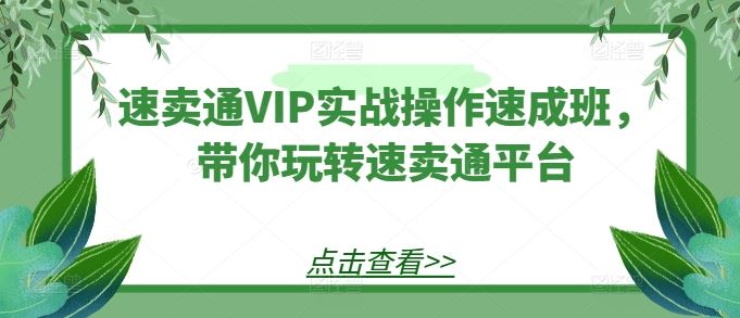 速卖通VIP实战操作速成班，带你玩转速卖通平台-生财有道