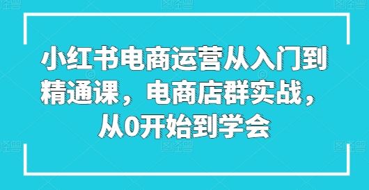 小红书电商运营从入门到精通课，电商店群实战，从0开始到学会-生财有道