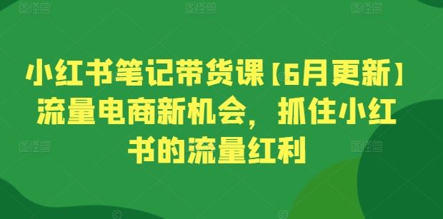 小红书笔记带货课【6月更新】流量电商新机会，抓住小红书的流量红利-生财有道