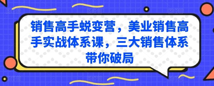 销售高手蜕变营，美业销售高手实战体系课，三大销售体系带你破局-生财有道