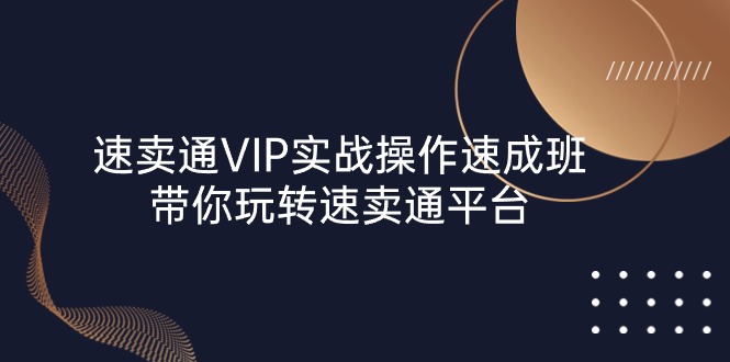 （10935期）速卖通 VIP实战操作-速成班，带你玩转速卖通平台（23节）-生财有道