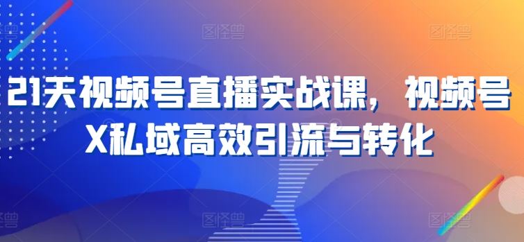 21天视频号直播实战课，视频号X私域高效引流与转化-生财有道