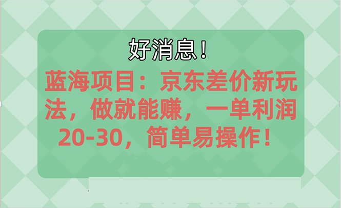 （10989期）越早知道越能赚到钱的蓝海项目：京东大平台操作，一单利润20-30，简单…-生财有道