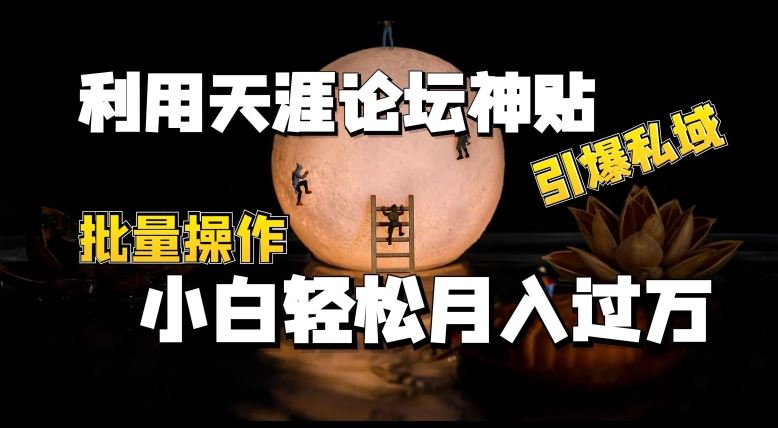 利用天涯论坛神贴，引爆私域，批量操作，小白轻松月入过w【揭秘】-生财有道