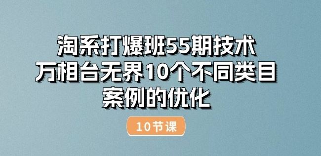 淘系打爆班55期技术：万相台无界10个不同类目案例的优化(10节)-生财有道