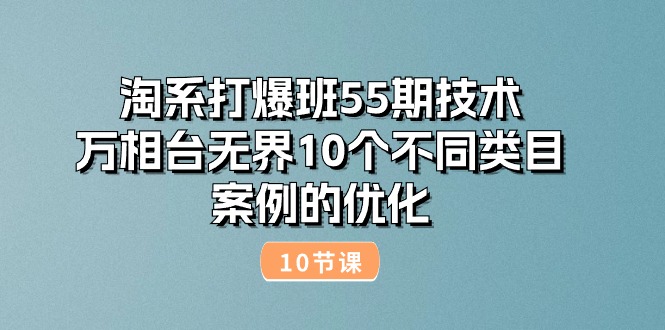 （10996期）淘系打爆班55期技术：万相台无界10个不同类目案例的优化（10节）-生财有道