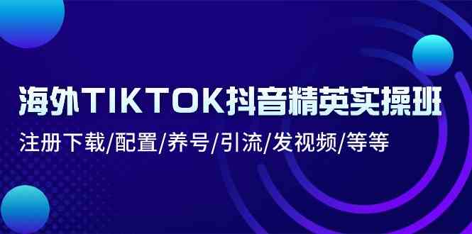 海外TIKTOK抖音精英实操班：注册下载/配置/养号/引流/发视频/等等-生财有道