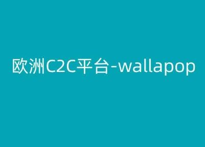 欧洲C2C平台-wallapop-kim跨境电商教程-生财有道