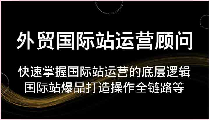 外贸国际站运营顾问-快速掌握国际站运营的底层逻辑，国际站爆品打造操作全链路等-生财有道