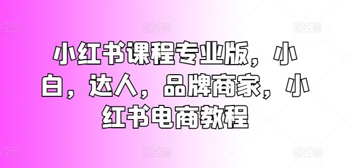 小红书课程专业版，小白，达人，品牌商家，小红书电商教程-生财有道
