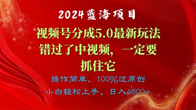 （11032期）2024蓝海项目，视频号分成计划5.0最新玩法，错过了中视频，一定要抓住…-生财有道