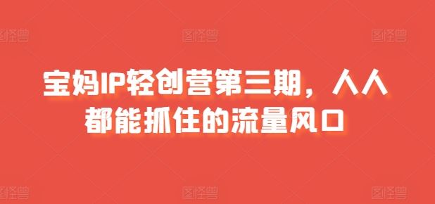 宝妈IP轻创营第三期，人人都能抓住的流量风口-生财有道