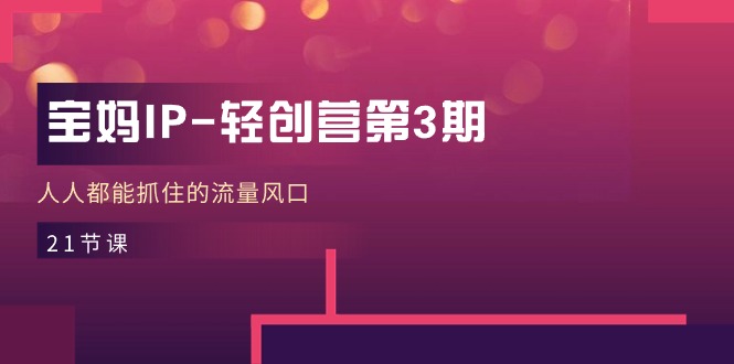 （11042期）宝妈IP-轻创营第3期，人人都能抓住的流量风口（21节课）-生财有道