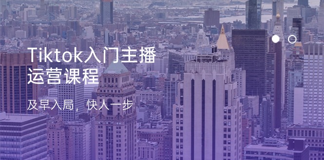 （11045期）Tiktok入门主播运营课程，及早入局，快人一步（11节）-生财有道