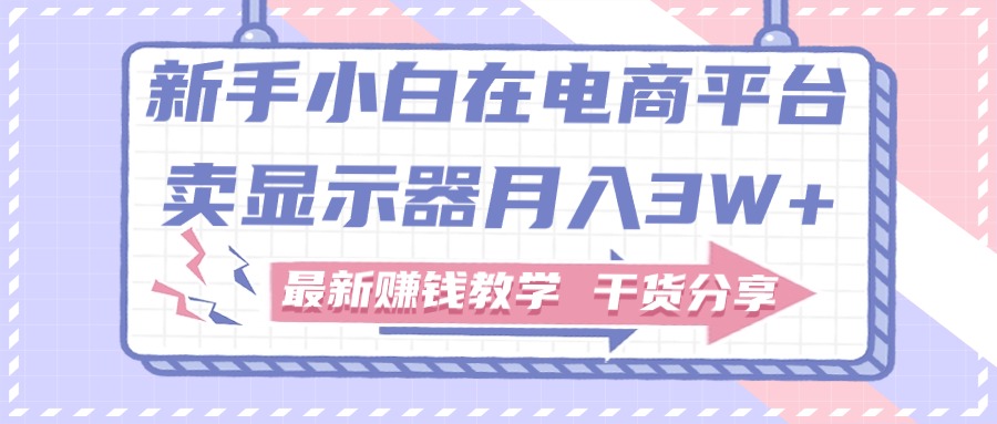（11053期）新手小白如何做到在电商平台卖显示器月入3W+，最新赚钱教学干货分享-生财有道