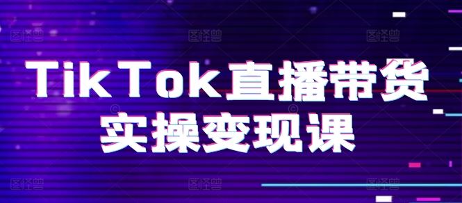 TikTok直播带货实操变现课：系统起号、科学复盘、变现链路、直播配置、小店操作流程、团队搭建等。-生财有道