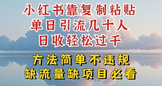 小红书靠复制粘贴单日引流几十人目收轻松过千，方法简单不违规【揭秘】-生财有道