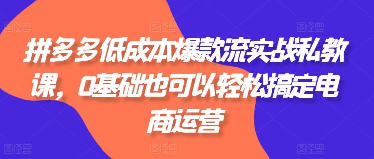 拼多多低成本爆款流实战私教课，0基础也可以轻松搞定电商运营-生财有道