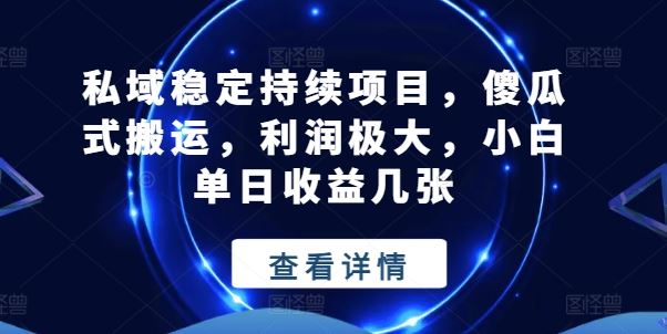 私域稳定持续项目，傻瓜式搬运，利润极大，小白单日收益几张【揭秘】-生财有道