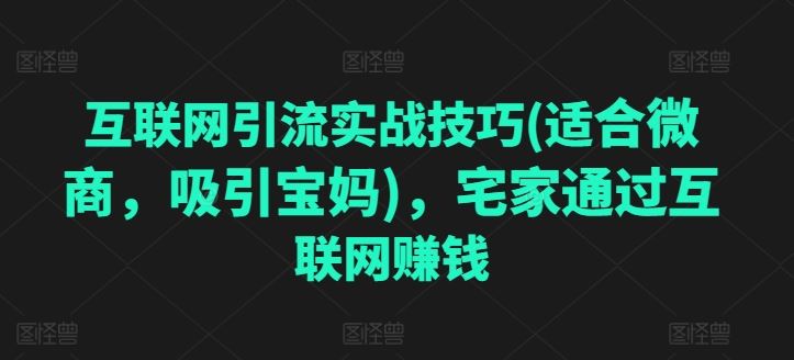 互联网引流实战技巧(适合微商，吸引宝妈)，宅家通过互联网赚钱-生财有道