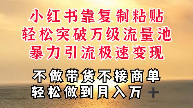 （11139期）深层揭秘小红书，靠复制粘贴，一周突破万级流量池，无脑搬运，暴力引流…-生财有道