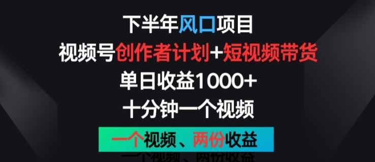 下半年风口项目，视频号创作者计划+视频带货，一个视频两份收益，十分钟一个视频【揭秘】-生财有道