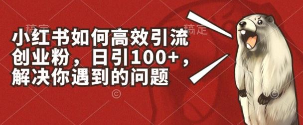 小红书如何高效引流创业粉，日引100+，解决你遇到的问题【揭秘】-生财有道